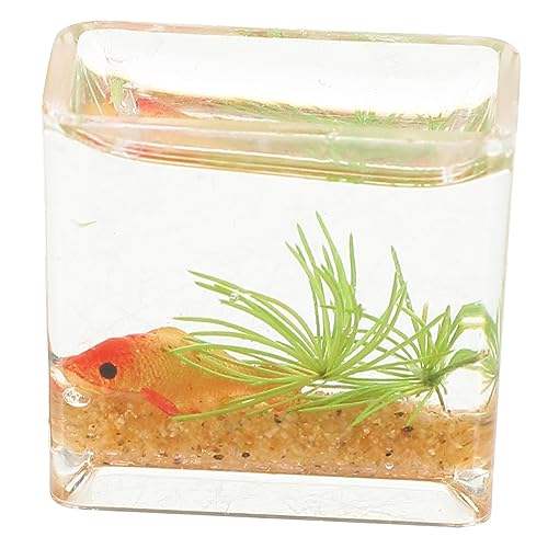 SKISUNO Miniatur Goldfischglas Mini Aquarium Dekoration Resin Modell Miniaturhaus Deko Micro Landschaftsaccessoire für Puppenhaus und Miniaturgarten SKISUNO Miniatur Goldfischglas Mini Aquarium Dekoration Resin Modell Miniaturhaus Deko Micro Landschaftsaccessoire für Puppenhaus und Miniaturgarten von SKISUNO