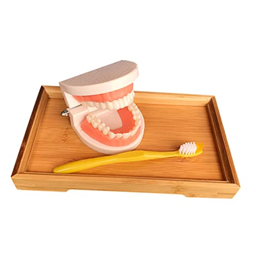 SKISUNO Montessori Zähneputzmodell für Kleinkinder mit Zahnmodell und Bambus Tablett Pädagogisches Lernspielzeug zur Zahnpflege und Frühkindlichen Entwicklung für Jungen und Mädchen SKISUNO Montessori Zähneputzmodell für Kleinkinder mit Zahnmodell und Bambus Tablett Pädagogisches Lernspielzeug zur Zahnpflege und Frühkindlichen Entwicklung für Jungen und Mädchen von SKISUNO