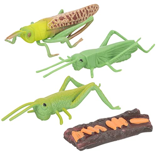 SKISUNO Realistische Tierwachstumszyklus Modelle Teiliges Montessori Lernspielzeug für Pädagogische Insektenfiguren zur Frühkindlichen Natur und Wissenschaftserziehung SKISUNO Realistische Tierwachstumszyklus Modelle Teiliges Montessori Lernspielzeug für Pädagogische Insektenfiguren zur Frühkindlichen Natur und Wissenschaftserziehung von SKISUNO