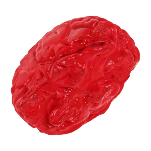 SKISUNO Realistisches Halloween Deko Gehirn Prop Leichtes Langlebiges Vielseitiges Fake Brain für Gruselige Spukhaus Partydekorationen Halloween Requisite für Innen Außenbereiche SKISUNO Realistisches Halloween Deko Gehirn Prop Leichtes Langlebiges Vielseitiges Fake Brain für Gruselige Spukhaus Partydekorationen Halloween Requisite für Innen Außenbereiche von SKISUNO