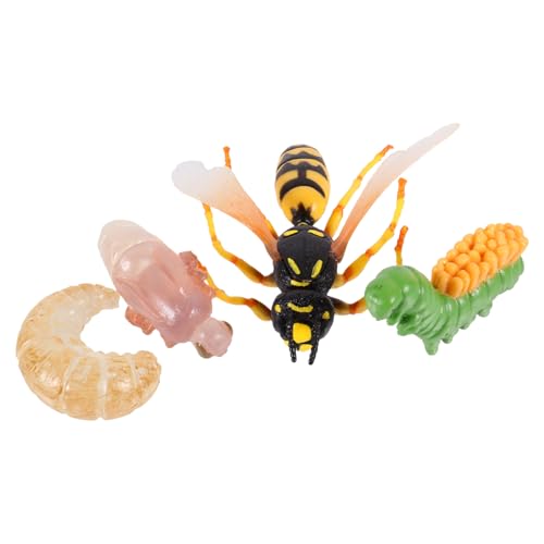 SKISUNO Teiliges Realistisches Tiermodell Große Gelbe Wachstumszyklus Lernspielzeug Pädagogisches Display für Biologischen Erkenntnis und Kognitiven Entwicklung SKISUNO Teiliges Realistisches Tiermodell Große Gelbe Wachstumszyklus Lernspielzeug Pädagogisches Display für Biologischen Erkenntnis und Kognitiven Entwicklung von SKISUNO