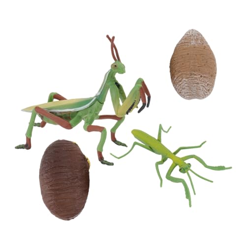SKISUNO Wachstumszyklus Modell mit Realistischer Gottesanbeterin und Schnecke Figuren Pädagogisches Insekten für Kindergarten Farberkennung und Hand Auge Koordination SKISUNO Wachstumszyklus Modell mit Realistischer Gottesanbeterin und Schnecke Figuren Pädagogisches Insekten für Kindergarten Farberkennung und Hand Auge Koordination von SKISUNO