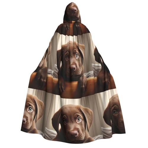 SKKNT Niedlicher Labrador-Hund 1 Druck Unisex Kapuzenumhang Kostüm Damen Herren Vampir Halloween Cosplay Karneval Mottoparty von SKKNT