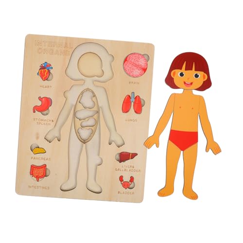 SOESFOUFU 1 Set Holzpuzzle Für Den Menschlichen Körper Für Kleinkinder, Montessori-anatomiespielzeug, Frühes Mint-lernpuzzle Mit Inneren Organen, Englisch (mädchen) von SOESFOUFU