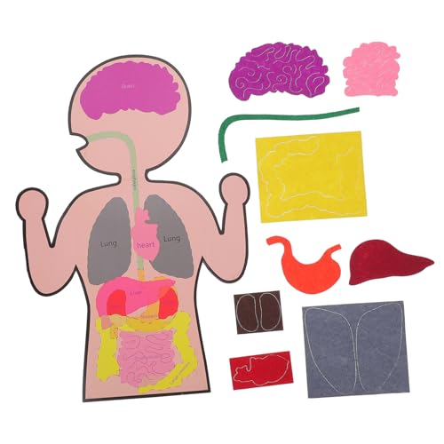 SOIMISS 3 Sätze Menschliche Organe Modellspielzeug Lernspielzeug Bastelset für Ab Jahren Pädagogisches DIY Körper Puzzle zur Kognition Kreativität und Motorik SOIMISS 3 Sätze Menschliche Organe Modellspielzeug Lernspielzeug Bastelset für Ab Jahren Pädagogisches DIY Körper Puzzle zur Kognition Kreativität und Motorik von SOIMISS