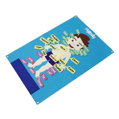 SOIMISS Großes Filz Menschlicher Körper Lernspielzeug für Kleinkinder Pädagogisches Wandbrett Interaktives Eltern Junge Mädchen Beschäftigungsbrett zur Feinmotorik und Kreativität SOIMISS Großes Filz Menschlicher Körper Lernspielzeug für Kleinkinder Pädagogisches Wandbrett Interaktives Eltern Junge Mädchen Beschäftigungsbrett zur Feinmotorik und Kreativität von SOIMISS