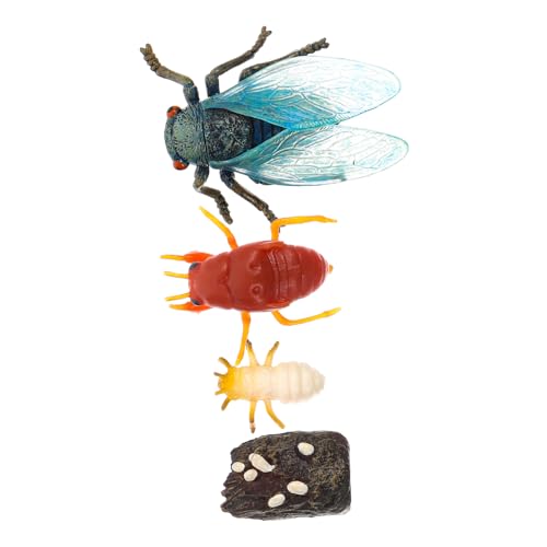 SOIMISS Realistisches Zikadenmodell aus Pädagogisches Lernspielzeug zur Simulation des Lebenszyklus Kompakter Naturbastel Bausatz für Multifunktionale Dekoration und Bildungswerkzeug SOIMISS Realistisches Zikadenmodell aus Pädagogisches Lernspielzeug zur Simulation des Lebenszyklus Kompakter Naturbastel Bausatz für Multifunktionale Dekoration und Bildungswerkzeug von SOIMISS