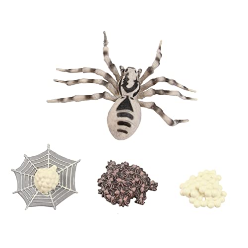 SOIMISS Simulation Tiermodell Wolfsspinne Material Tierwachstum Kinderparty Dekoration Lernspielzeug für Jungen Mädchen Kreative Sammlung SOIMISS Simulation Tiermodell Wolfsspinne Material Tierwachstum Kinderparty Dekoration Lernspielzeug für Jungen Mädchen Kreative Sammlung von SOIMISS