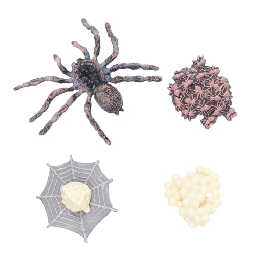 SOIMISS Simulierte Tierfiguren Set Lebenszyklus Lernspielzeug Ab Jahre Pädagogisch Realistische Wachstumsphasen Modell für Foto Requisiten und Gartendekor SOIMISS Simulierte Tierfiguren Set Lebenszyklus Lernspielzeug Ab Jahre Pädagogisch Realistische Wachstumsphasen Modell für Foto Requisiten und Gartendekor von SOIMISS