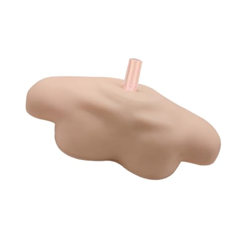 SOIMISS Steckbares Schultermodell aus PVC Stabiles Modelldisplay mit Feiner Verarbeitung Hitzebeständig und Stoßfest Vielseitig Einsetzbar für Salon Laden und Ausbildung Praktisches und SOIMISS Steckbares Schultermodell aus PVC Stabiles Modelldisplay mit Feiner Verarbeitung Hitzebeständig und Stoßfest Vielseitig Einsetzbar für Salon Laden und Ausbildung Praktisches und von SOIMISS