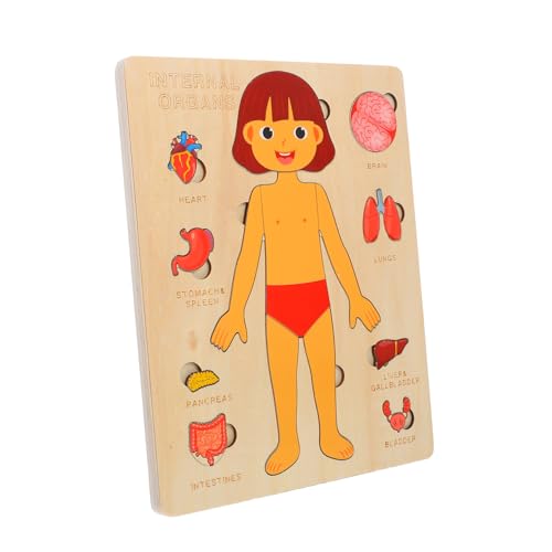 SOLUSTRE Kinder-holzpuzzle-set Struktur Des Menschlichen Körpers Lernspielzeug Organisches Puzzle Für Kleinkinder Vorschul-lernpuzzlespiel 1 Set Englische Version von SOLUSTRE