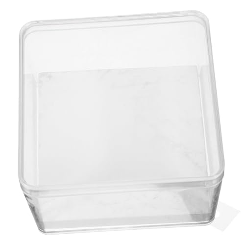 SOLUSTRE 1 Satz Musterbox Mineralienvitrine Kleiner Probenkoffer Insektenständer Mini-insektenvitrine Entomologie-probenhalter Insektenwürfel-display Probenwürfelanzeige Plastik Transparent von SOLUSTRE