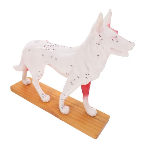 SOLUSTRE 2st Akupunkturpunktmodell Für Hunde Plüsch Hund Realistischer Hund 4d-anatomiemodell Für Hunde Modell Anatomie Tierische Hundemodelle Haustier Hundeanatomiemodell Pvc von SOLUSTRE