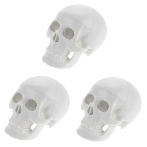 SOLUSTRE 3St Schädelmodell Kopfmodell Anatomisches Modell Schädel Deko Realistisches Schädel Modell Halloween-Dekor Halloween-Schädel-Dekor Modell des menschlichen Körpers PVC Weiß von SOLUSTRE