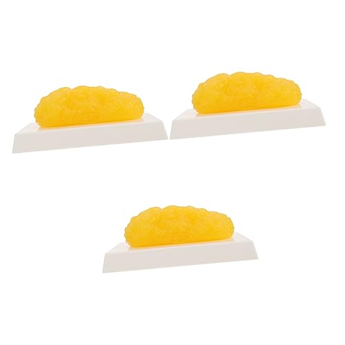 SOLUSTRE 3st Fettes Modell Anatomiemodell Wiegen Anatomisches Fettmodell Gewichte Modelle Demonstrationsmodell Für Menschliches Kippen Waage Anatomisches Modell Yellow Plastik von SOLUSTRE