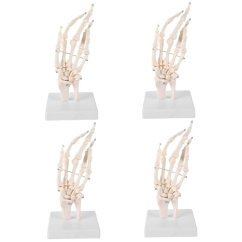 SOLUSTRE 4 Stück Handknochen Gelenkmodell Handskelett Auf Basis Menschliche Größe Skeletthand Flexible Skeletthand Menschliches Handgelenkmodell Handskelett Mit Gelenkgelenken von SOLUSTRE