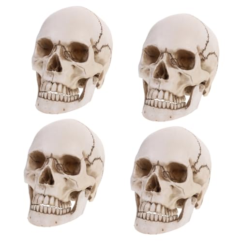 SOLUSTRE 4 Stück Nachbildung des menschlichen Schädels Tierschädelmodell Halloween-Schädellampe Raupe Halloween Requisiten menschlicher Schädel für Künstler bastelsachen Mannequin Weiß von SOLUSTRE