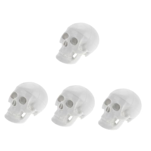 SOLUSTRE 4 Stück Schädelmodell Kopfmodell Anatomisches Modell Schädel Dekoration Schädel Knochen Modell Lernmodell Schädel Halloween-Dekor Anatomiemodell Partyschädeldekorationen PVC Weiß von SOLUSTRE