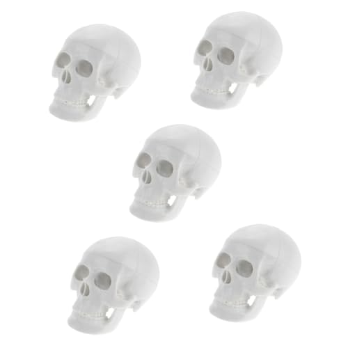 SOLUSTRE 5st Schädelmodell Künstliche Schädelverzierung Schädelknochenmodell Realistischer Schädel Halloween-schädeldekoration Schädel Medizinisches Modell Kopfknochenmodell Weiß Pvc von SOLUSTRE