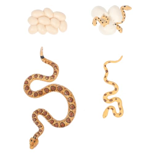 SOLUSTRE Modell Realistische Klapperschlange Wachstumszyklus Lernspielzeug für Natürliche Wissenschaftsentdeckung der Vorstellungskraft SOLUSTRE Modell Realistische Klapperschlange Wachstumszyklus Lernspielzeug für Natürliche Wissenschaftsentdeckung der Vorstellungskraft von SOLUSTRE