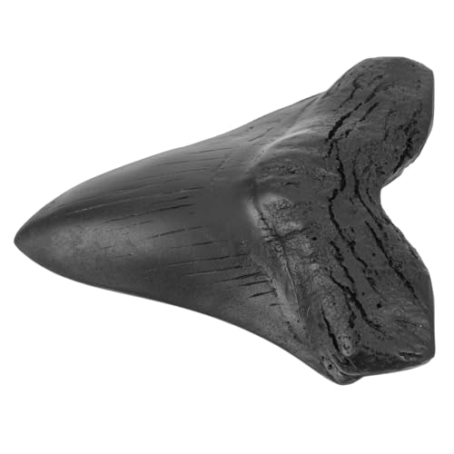 SOLUSTRE Realistische Megalodon Nachbildung aus Umweltfreundlichem Material Großer Ausgestorbener Haifischzahn als Dekorative Sammelfigur und Schmuckornament für Aquarium und Innenbereich SOLUSTRE Realistische Megalodon Nachbildung aus Umweltfreundlichem Material Großer Ausgestorbener Haifischzahn als Dekorative Sammelfigur und Schmuckornament für Aquarium und Innenbereich von SOLUSTRE