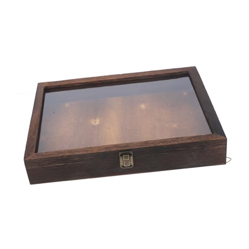 SOLUSTRE Vintage Insekten Vitrine Mit Glasdeckel Schmetterlings Sammelbox Aus Wandmontage öglich Ideal Zur Präsentation Von Insektenexemplaren Und von SOLUSTRE