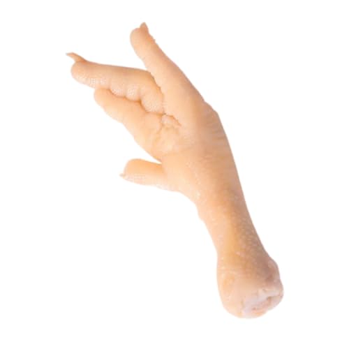 SOPOTUTU Realistisches Hühnerfuß-Modell aus Kunstmaterial für Fotografie und Spielzeug Hochwertiges Authentisches Deko-Element für Restaurants und Partys für Junge Mädchen und Tischpräsentationen SOPOTUTU Realistisches Hühnerfuß-Modell aus Kunstmaterial für Fotografie und Spielzeug Hochwertiges Authentisches Deko-Element für Restaurants und Partys für Junge Mädchen und Tischpräsentationen von SOPOTUTU