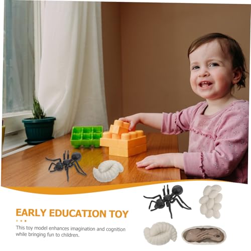 SOPOTUTU Simulation Lebenszyklus Modell Ameisen Wachstum Phase Teilig Realistische Arbeiterameisen Figuren Pädagogisches Lernspielzeug für Naturerfahrung und Dekoration SOPOTUTU Simulation Lebenszyklus Modell Ameisen Wachstum Phase Teilig Realistische Arbeiterameisen Figuren Pädagogisches Lernspielzeug für Naturerfahrung und Dekoration von SOPOTUTU