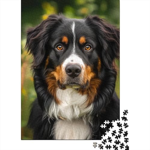 Springer Spaniel Puzzle 520 Teile Puzzle für Erwachsene Lernspiele Spielzeug DIY Kreatives Holzpuzzle Geschenke 520 Teile (52x38cm) von SOQWBYG