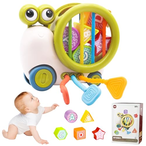 SPERMUOY Baby Spielzeug 8 Monate,Montessori Babyspielzeug sensorisches Spielzeug,Baby Spielzeug für 3 6 8 9 18 Monate Junge Mädchen Geschenk von SPERMUOY