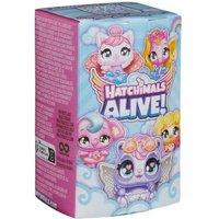 SPIN MASTER 40388 Hatchimals Colleggtibles - Hatchimals Alive Family Surprise, sortiert von SPIN MASTER™