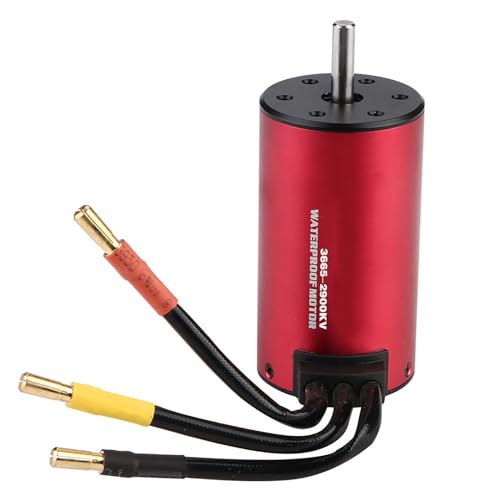 SPYMINNPOO RC Brushless Motor, Surpass 3665 Wasserdichter Brushless Motor für 1/8 1/10 RC Auto Zubehörteil (2900 kV) von SPYMINNPOO