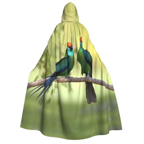 SRSXYMBD Kapuzenponcho mit Aufdruck "Love Birds" für Halloween, Erwachsene, Party-Dekoration, Poncho von SRSXYMBD