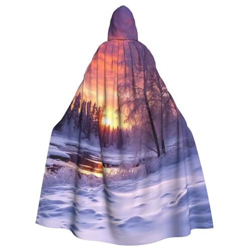 SRSXYMBD Winterlandschaft gedruckt Halloween Erwachsene Kapuzenponcho Party Dekoration Poncho Kapuzenponcho von SRSXYMBD