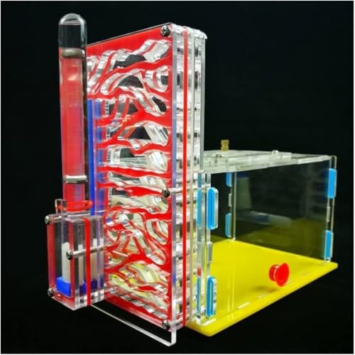 Ameisenburg aus Acryl, Biologieunterricht for Kinder, Ameisenpuzzle, Wissenschaftsbausatz for Selbermachen, Ameisenfarmbeobachtung, Ameisenhabitatreinigung, Ameisennestfarm(Rosso) von SSDDLZEQ