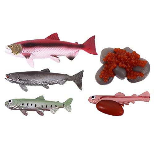 STOBOK 1 Set Fisch Figuren Lebenszyklus Modelle Meerestiere Kinder Wissenschaft Spielzeug Garten Statue Skulpturen Gartenfiguren Biologie Geschenke Wohnzimmer Tischdeko von STOBOK