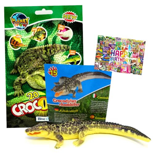 STRONCARD Bundle mit Blue Ocean Crocodiles Sammelfiguren 2025 - Planet Wow Krokodil- Figur 15. Kubakrokodil - Exklusive Geburtstagskarte von STRONCARD