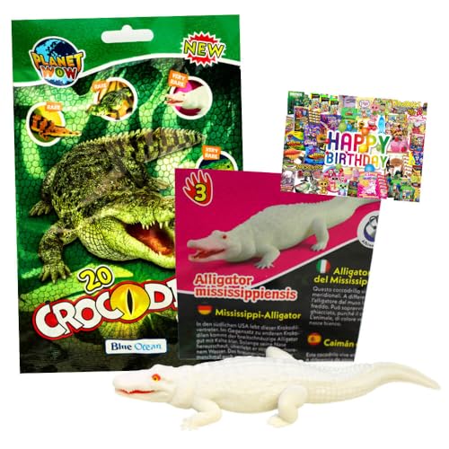 STRONCARD Bundle mit Blue Ocean Crocodiles Sammelfiguren 2025 - Planet Wow Krokodil- Figur 3. Mississippi-Alligator - Exklusive Geburtstagskarte von STRONCARD