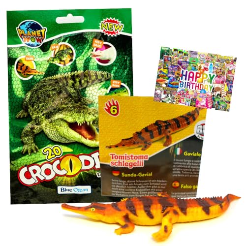 STRONCARD Bundle mit Blue Ocean Crocodiles Sammelfiguren 2025 - Planet Wow Krokodil- Figur 6. Sunda-Gavial - Exklusive Geburtstagskarte von STRONCARD