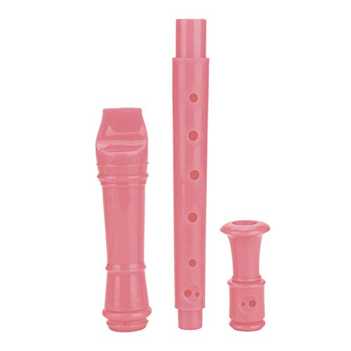 Musikblockflöte, 8-Loch-Sopranblockflöte mit Reinigungsstab und Anleitung, Kinderpädagogisches Instrument für Kinder, Kinder, Anfänger (PINK) von SUNGOOYUE