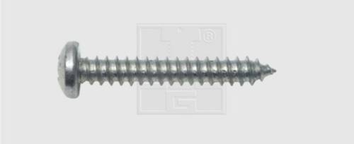 SWG 115351625 Blechschrauben 3.5mm 16mm Kreuzschlitz Phillips DIN 7981 Stahl verzinkt 100St. von SWG