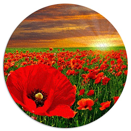 Puzzle 1000 Teile Horizon rote Mohnblumen runde Puzzles Erwachsene und Kinder Puzzles helle Blumen Puzzles Familiendekoration Lernspielzeug Spiel 67,5 x 67,5 cm von SXBB