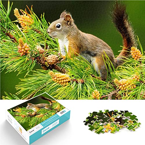 Puzzle 1000 Teile Pine Eichhörnchen Puzzles Jungen und Mädchen Puzzle Schwierigkeitsgrad Puzzle niedliche Tiere Puzzles Bildung Spiele Spielzeug Familie Dekoration 38x26cm von SXBB