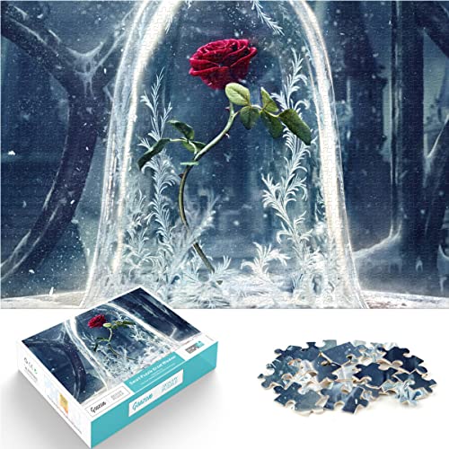 SXBB Puzzle 1000 Teile Film Die Schöne und das Biest - Puzzles für Erwachsene und Kinder - Schwierigkeitsgrade - Rose Red Rose Flower - Bildungsspiel - Familiendekoration - 38x26cm von SXBB