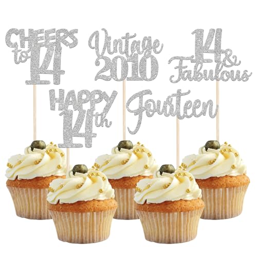 30 Stück Vintage 2010 Cupcake Toppers Glitzer Happy 14th Geburtstag Tortendeko Cheers to 14 Fabulous Fourteen Kuchen Deko für 14th Geburtstag Hochzeit Jahrestag Party Silber von SYKYCTCY