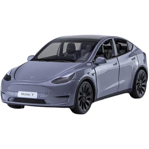 SYYANFEI Auto Modell 1:24 Für Druckguss-Metall-Tesla-Modellautomodell Legierung onsauto Modellauto Spielzeug Ornament Erwachsenenkollektion Jungen Mädchen Geschen(Gray) von SYYANFEI