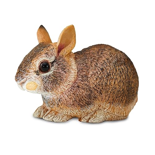 Eastern Cottontail Rabbit Baby von Safari Ltd.