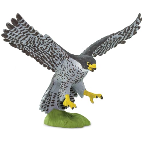 Safari Ltd. Wanderfalke 4,4 cm | Vogelfigur | Ungiftig und BPA-frei | Für Kinder ab 3 Jahren geeignet von Safari Ltd.