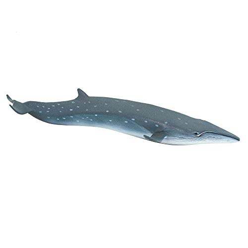 Safari Wild Sea Life Whale | Ungiftig und BPA-frei | Geeignet für Kinder ab 3 Jahren Ltd von Safari Ltd.