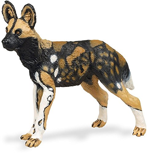 Safari Ltd Afrikanischer Wilder Hund von Safari Ltd